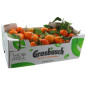 CLEMENTINE LOT B KG